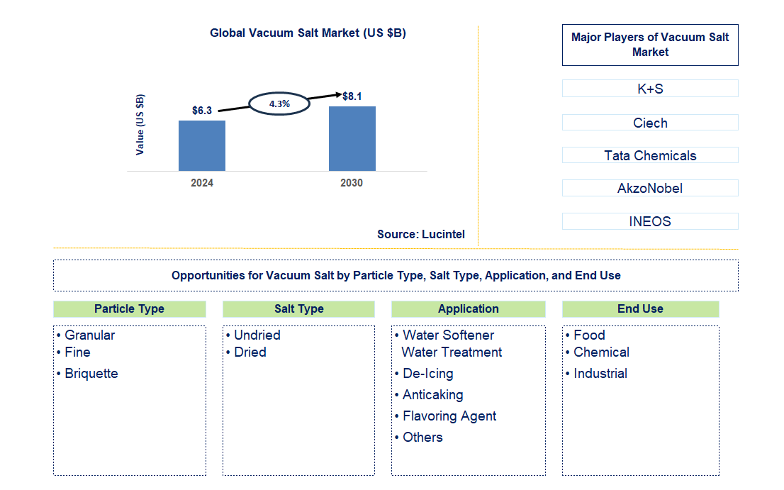 Vacuum Salt Trends and Forecast